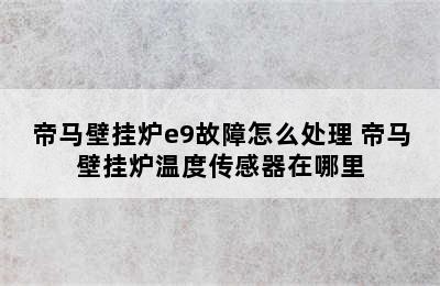 帝马壁挂炉e9故障怎么处理 帝马壁挂炉温度传感器在哪里